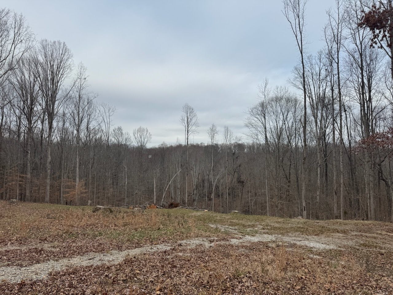 1251 Mount Pleasant Rd