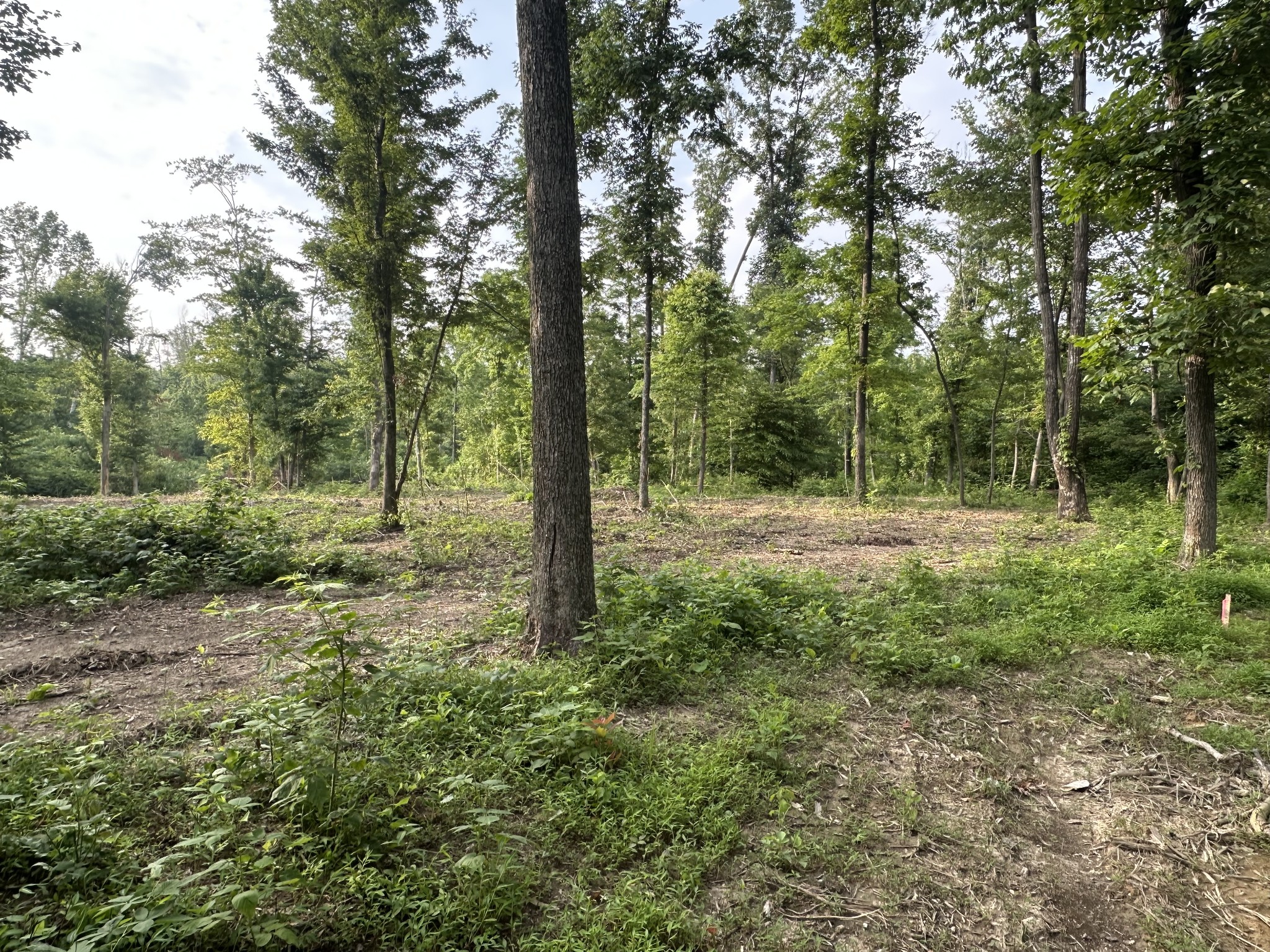 0 Annie Hollow Rd