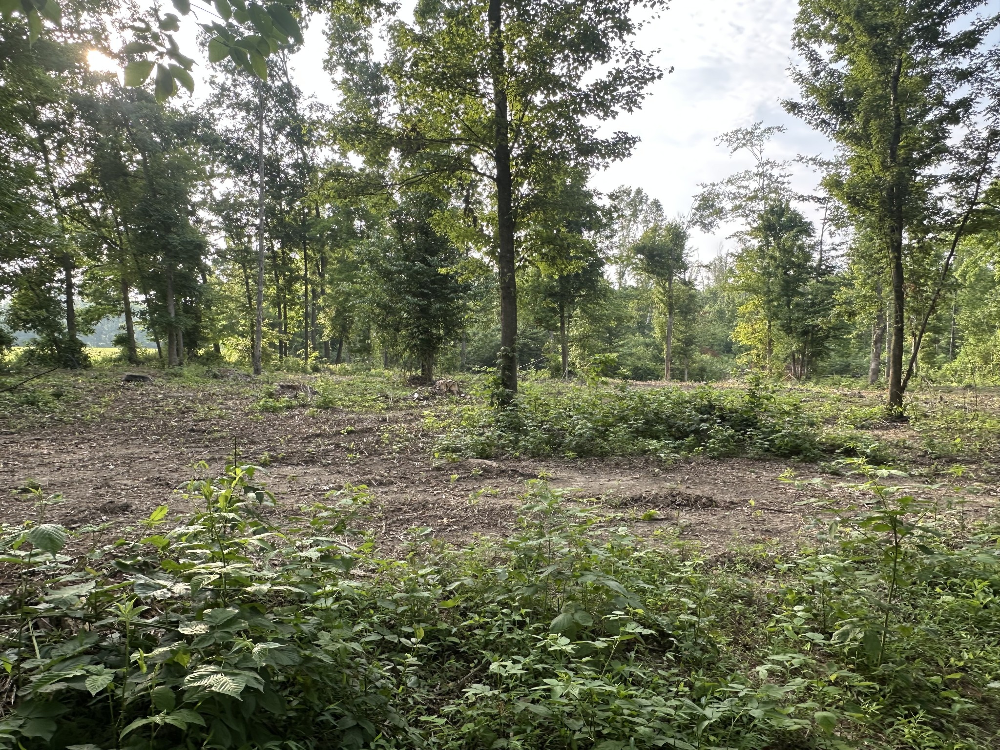 0 Annie Hollow Rd