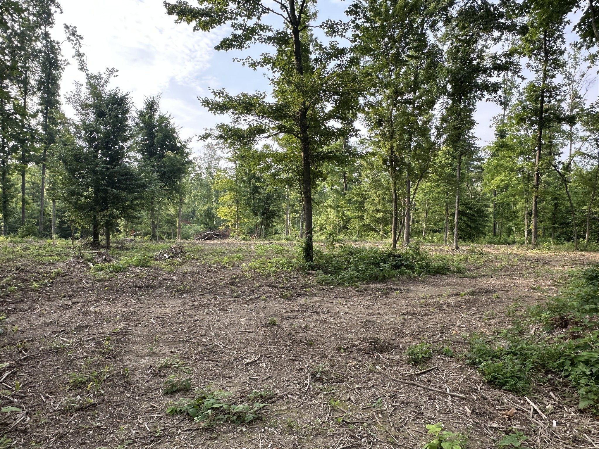 0 Annie Hollow Rd