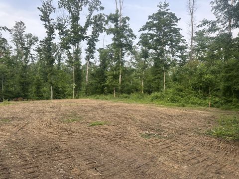 0 Annie Hollow Rd Westmoreland TN 37186