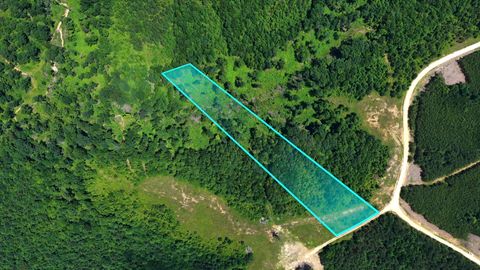 0 Cox Hollow Dover TN 37058