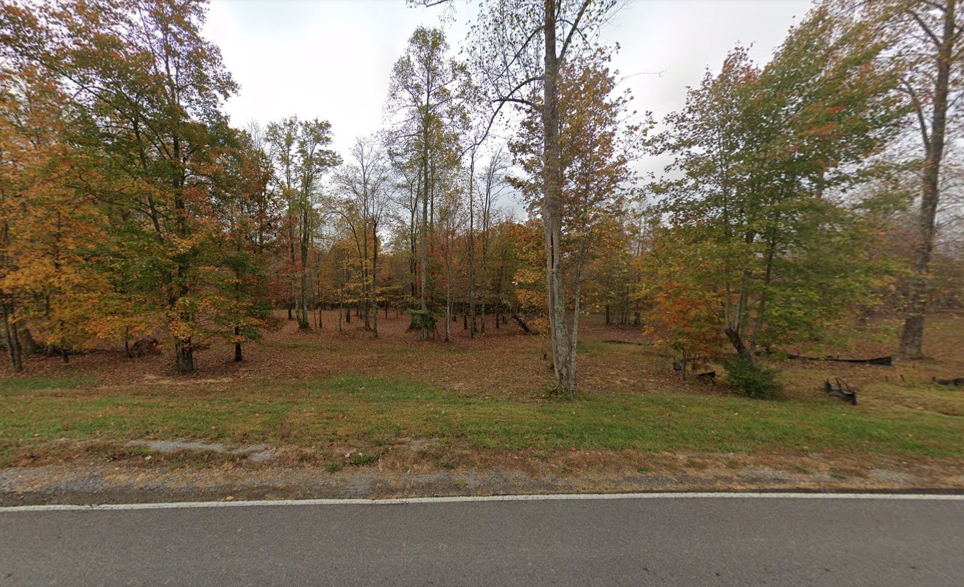 2445 Raulston Fls Rd