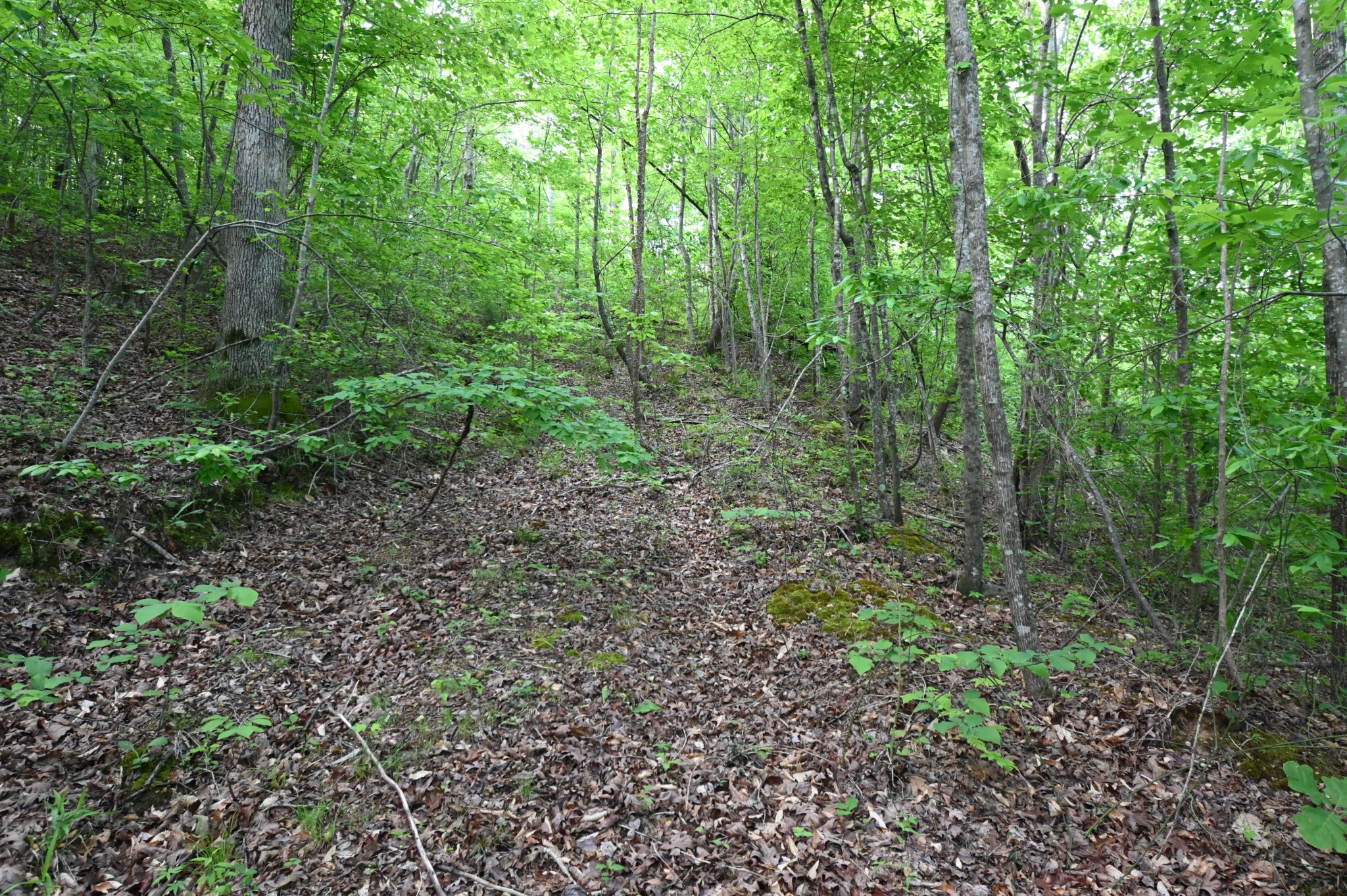 0 Lower Crooked Creek Rd