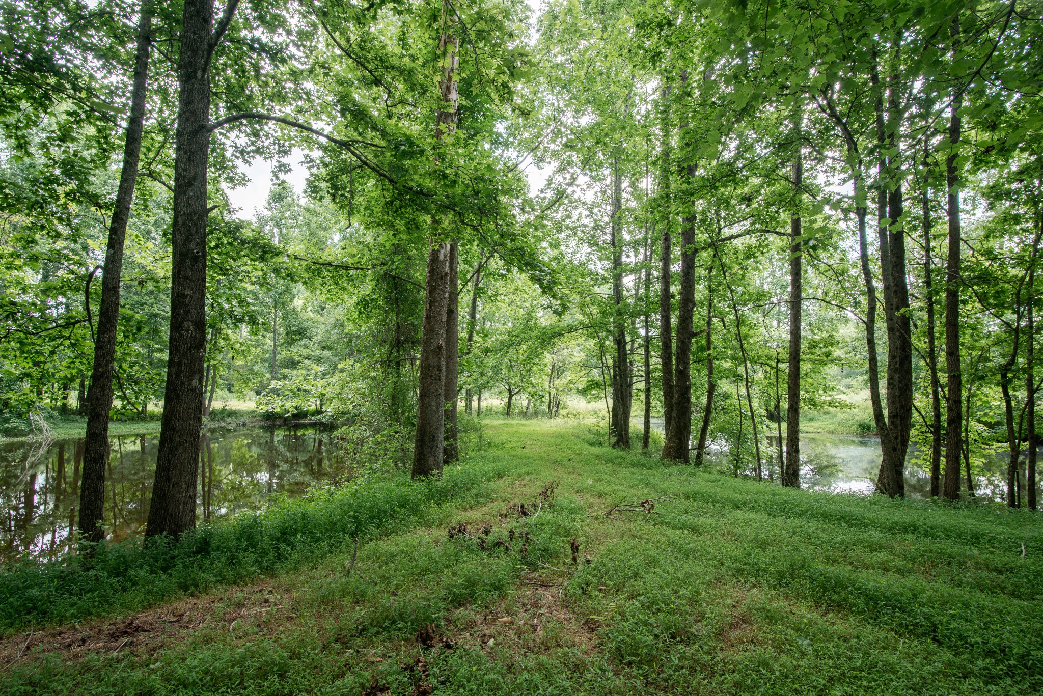 169 Pendergrass Rd - Photo 3