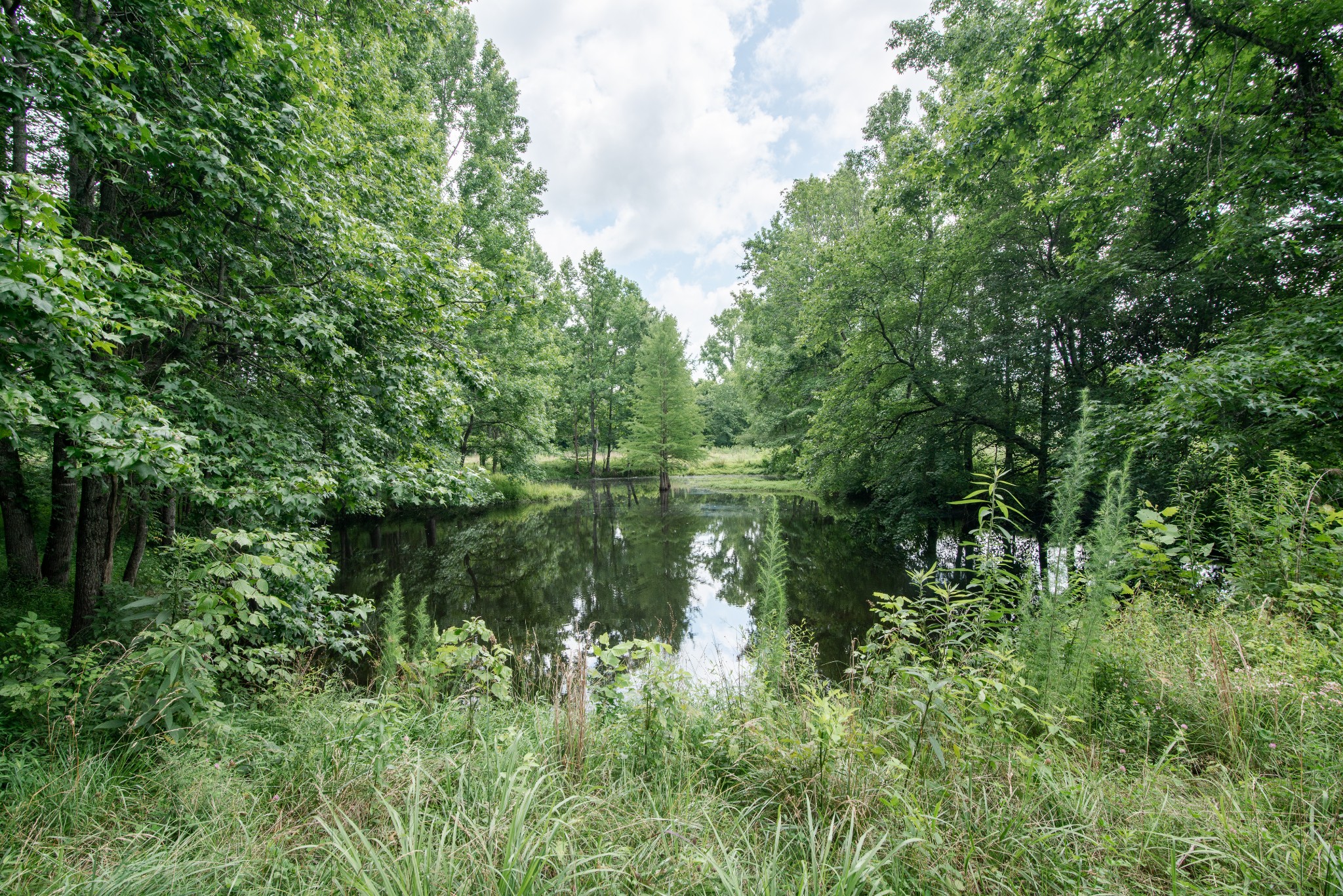 169 Pendergrass Rd - Photo 2