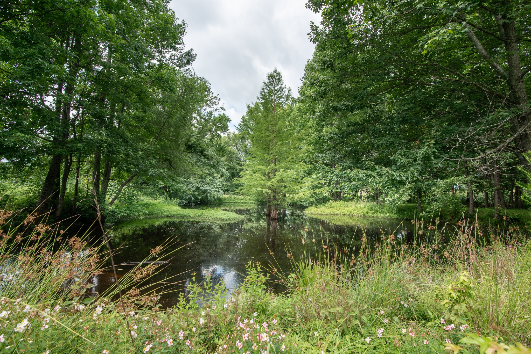 169 Pendergrass Rd - Photo 4