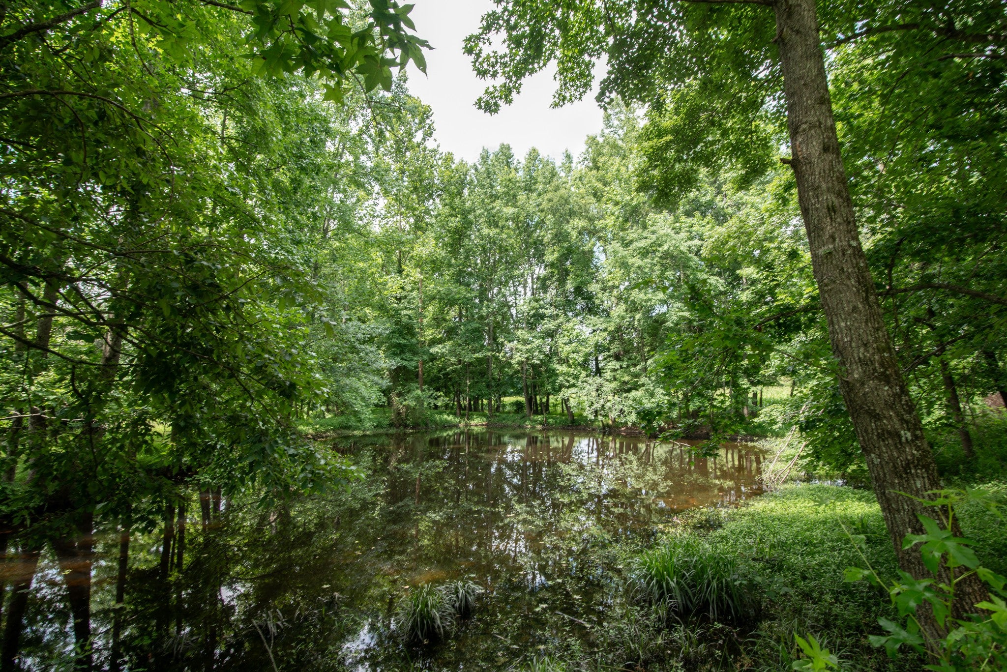 169 Pendergrass Rd