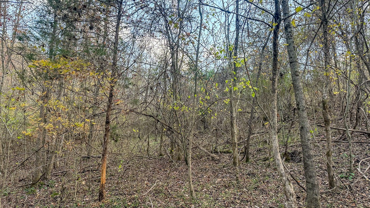 0 Lick Creek Road