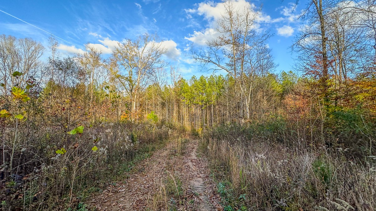 0 Lick Creek Road