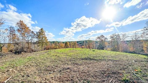 0 Lick Creek Road Linden TN 37096