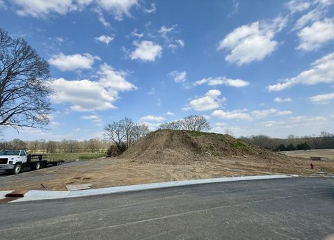 Photo of 516 Jenna Ln, Arrington, TN 37014 (MLS # 3214133)