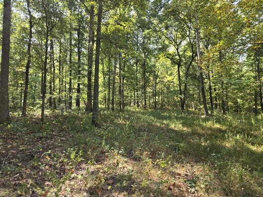 5510 GARRISON SPRINGS CT, FRANKLIN, TN 37064 - Image 3dd4a48d7d6a09ef08eb0cec3eb0bcfe/3328152283