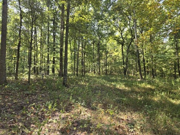 5510 Garrison Springs Ct Franklin TN 37064