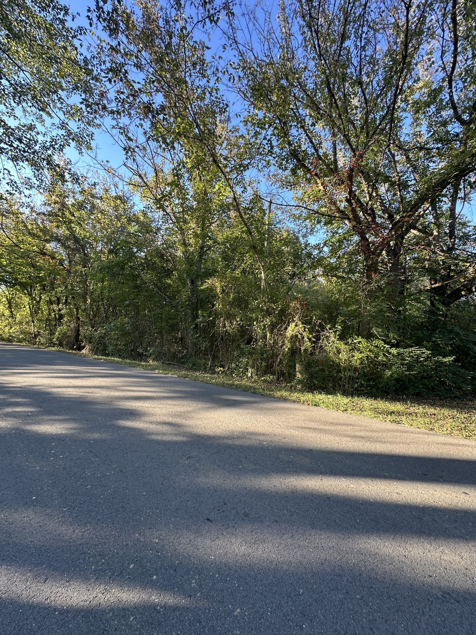 0 Rayburn Walling Rd