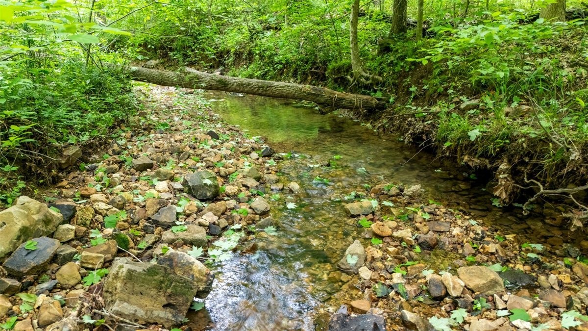 3571 Old Blacktop Rd