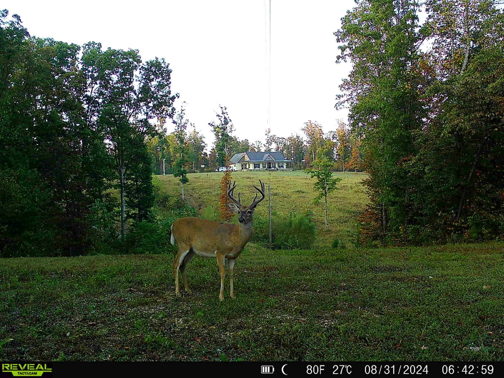 3571 Old Blacktop Rd