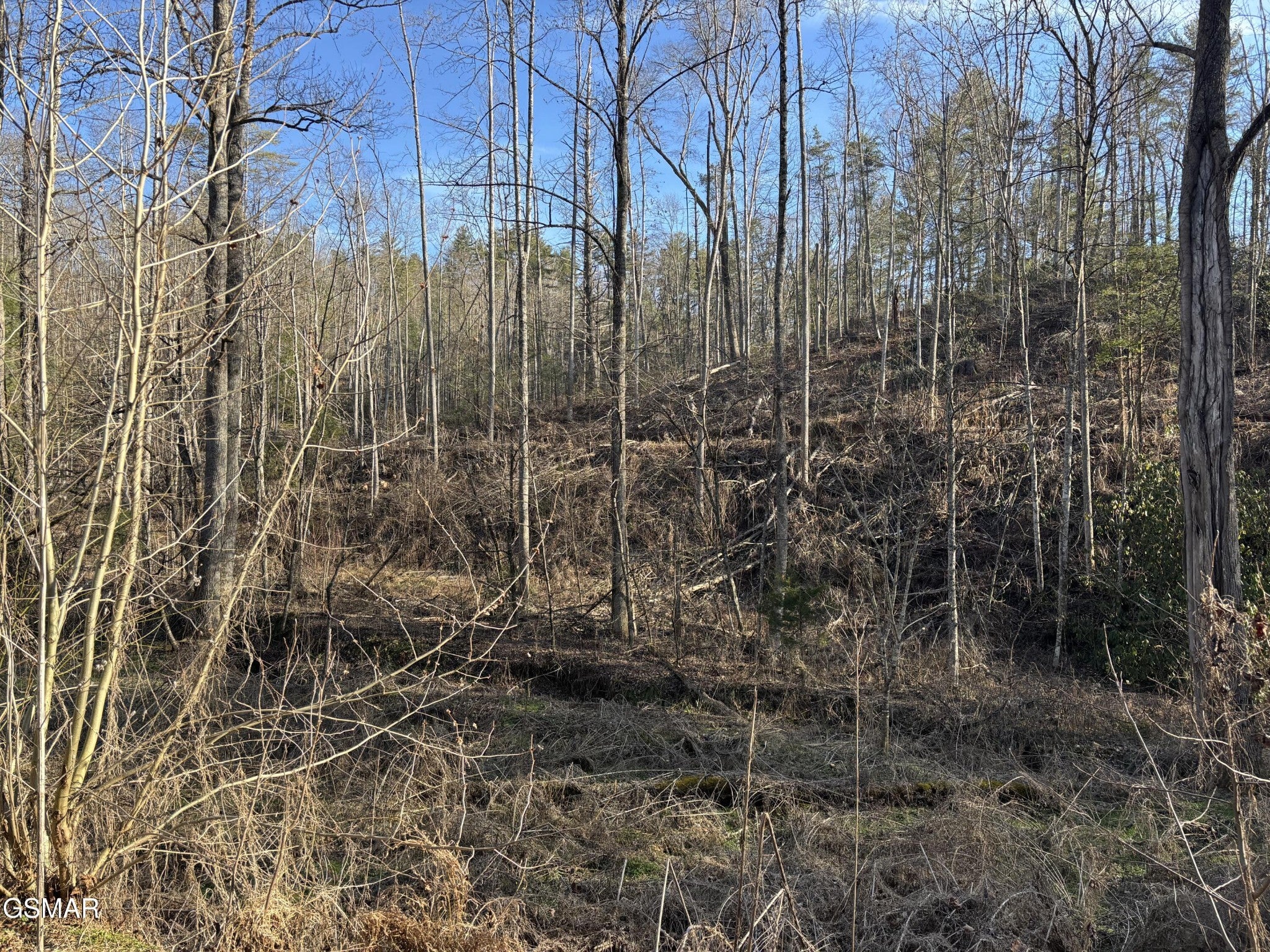 1 Bull Mountain Road