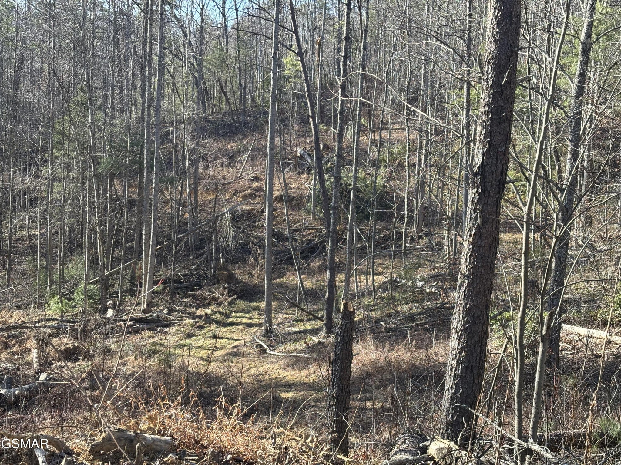 1 Bull Mountain Road