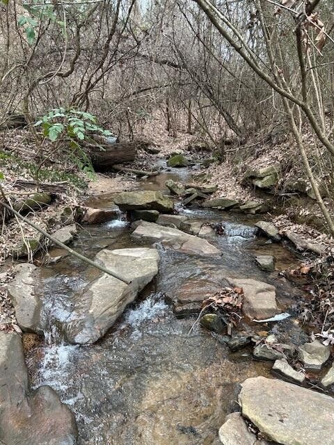 1007 Evanwood Drive E Lookout Mountain TN 37350
