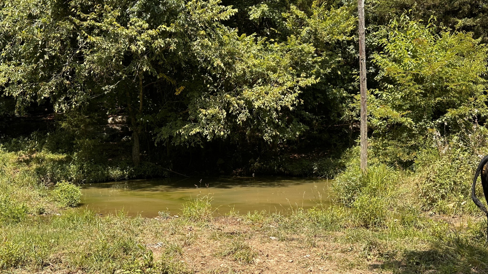 856 Petersburg Chestnt Rdg Rd