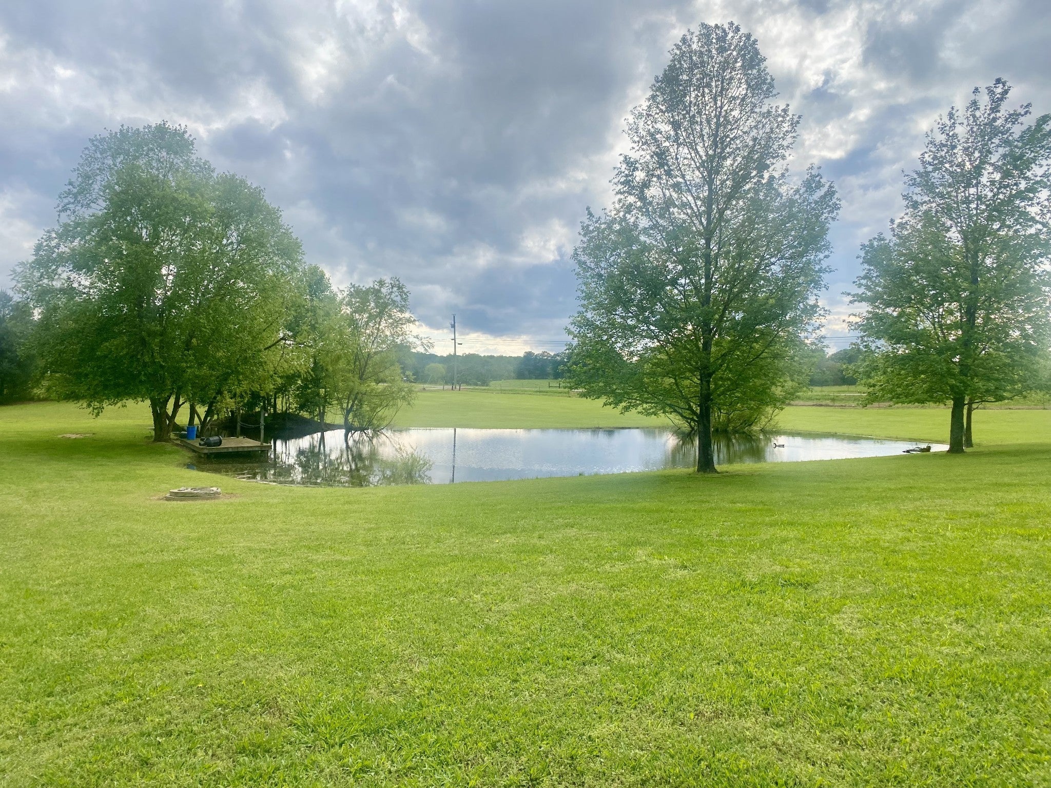 2273 Holcomb Rd