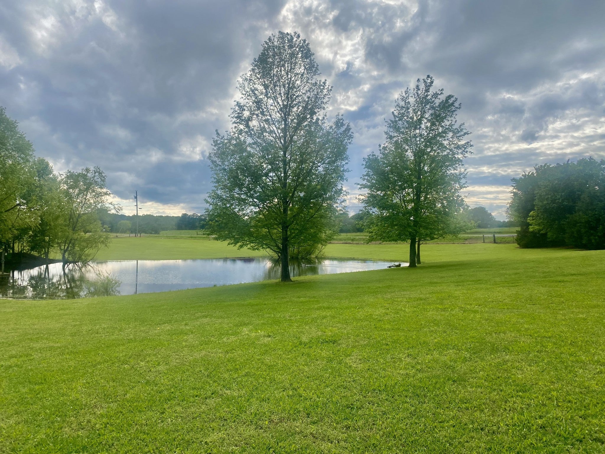 2273 Holcomb Rd