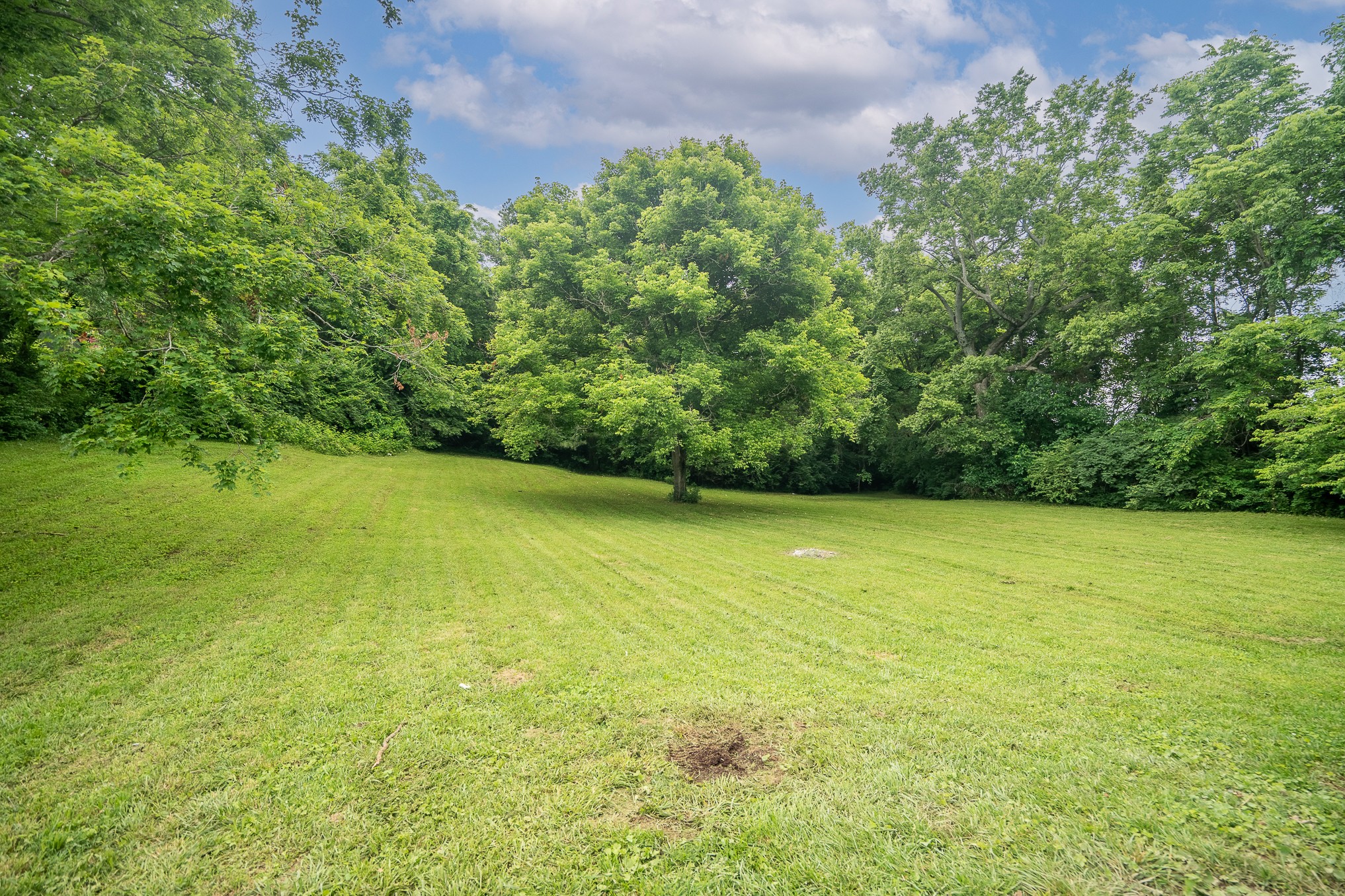 170 Old Carters Creek Pike