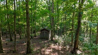 63 Charlsie Ln