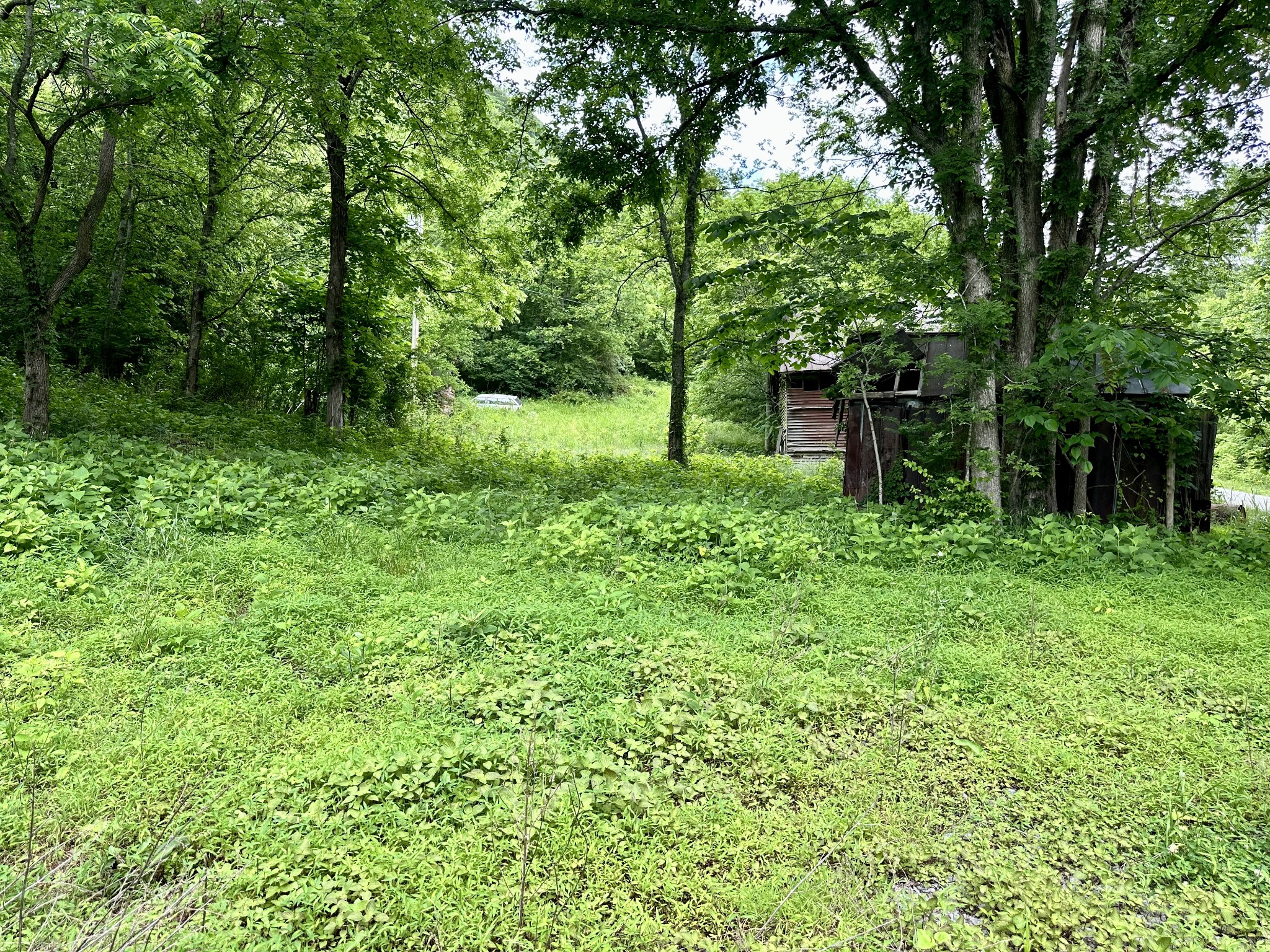 27 Bussell Ln