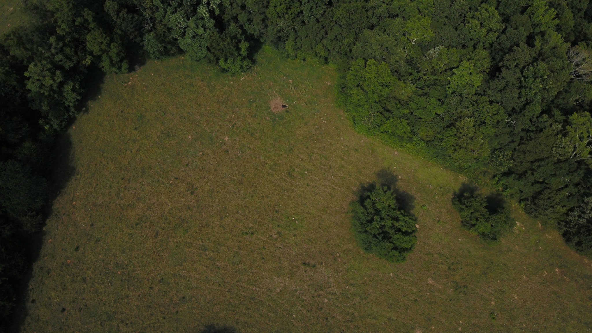 Photo 4 of 20 of 0 J D Suggs Rd land