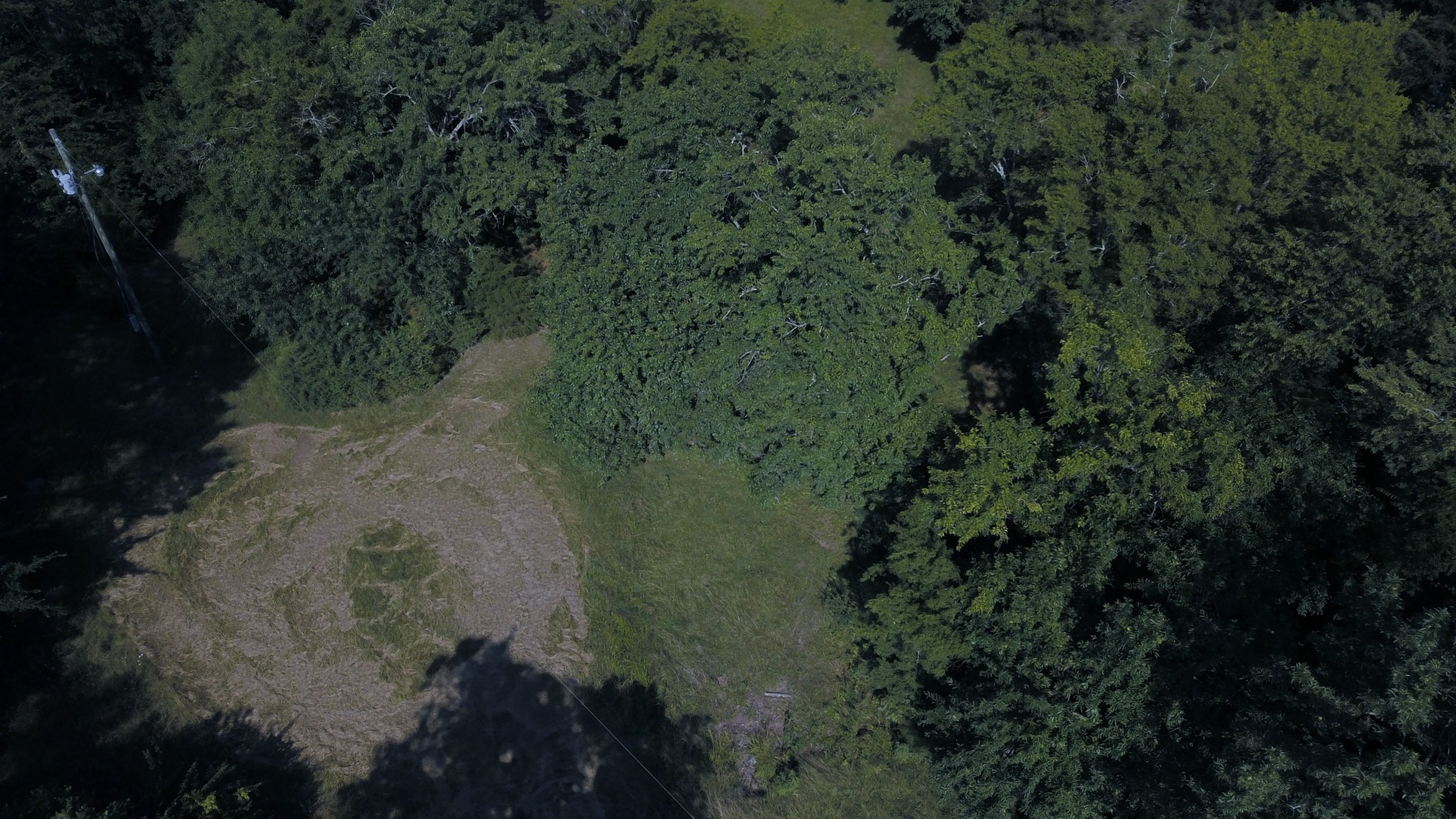 Photo 8 of 20 of 0 J D Suggs Rd land