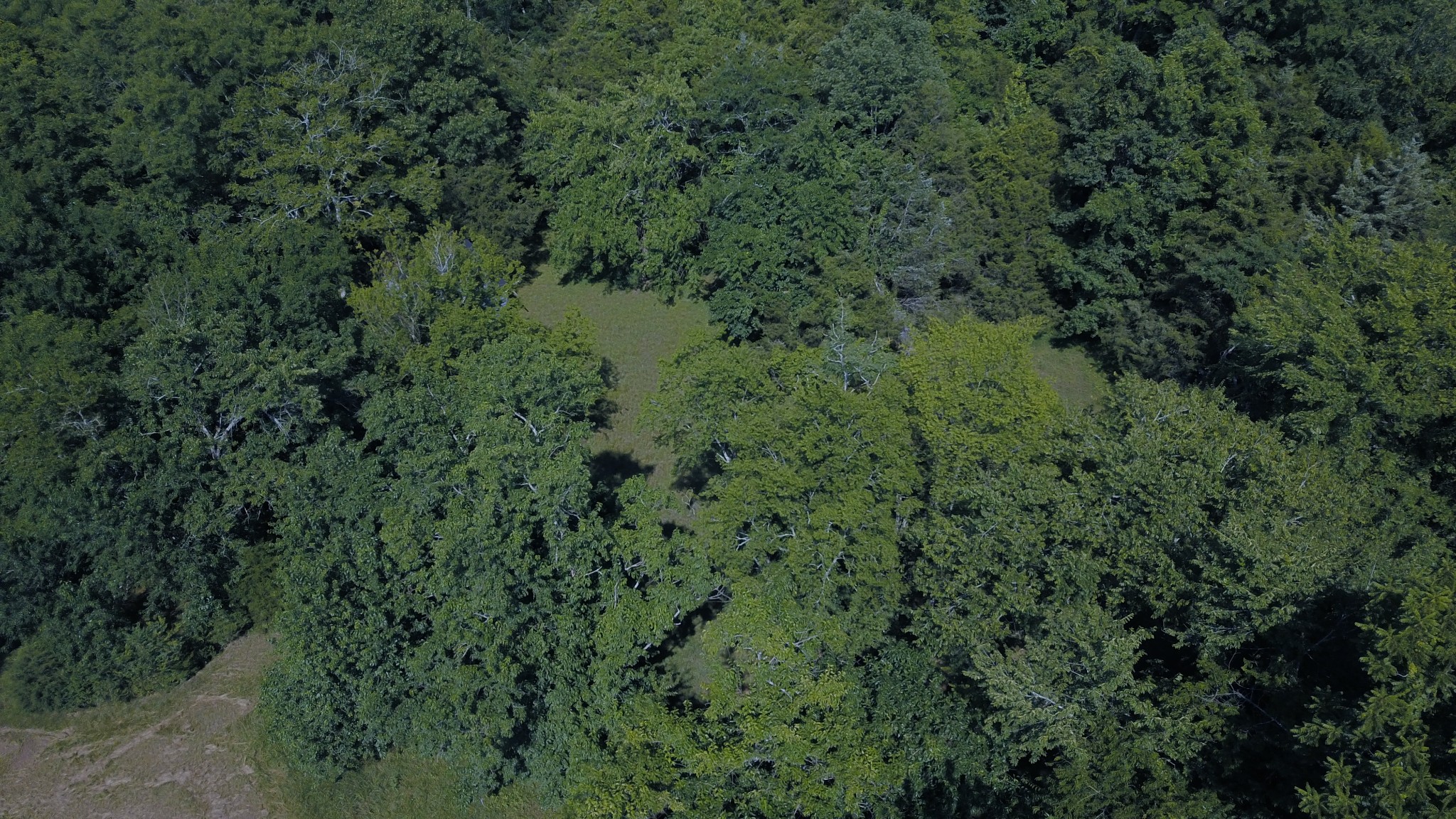 Photo 9 of 20 of 0 J D Suggs Rd land