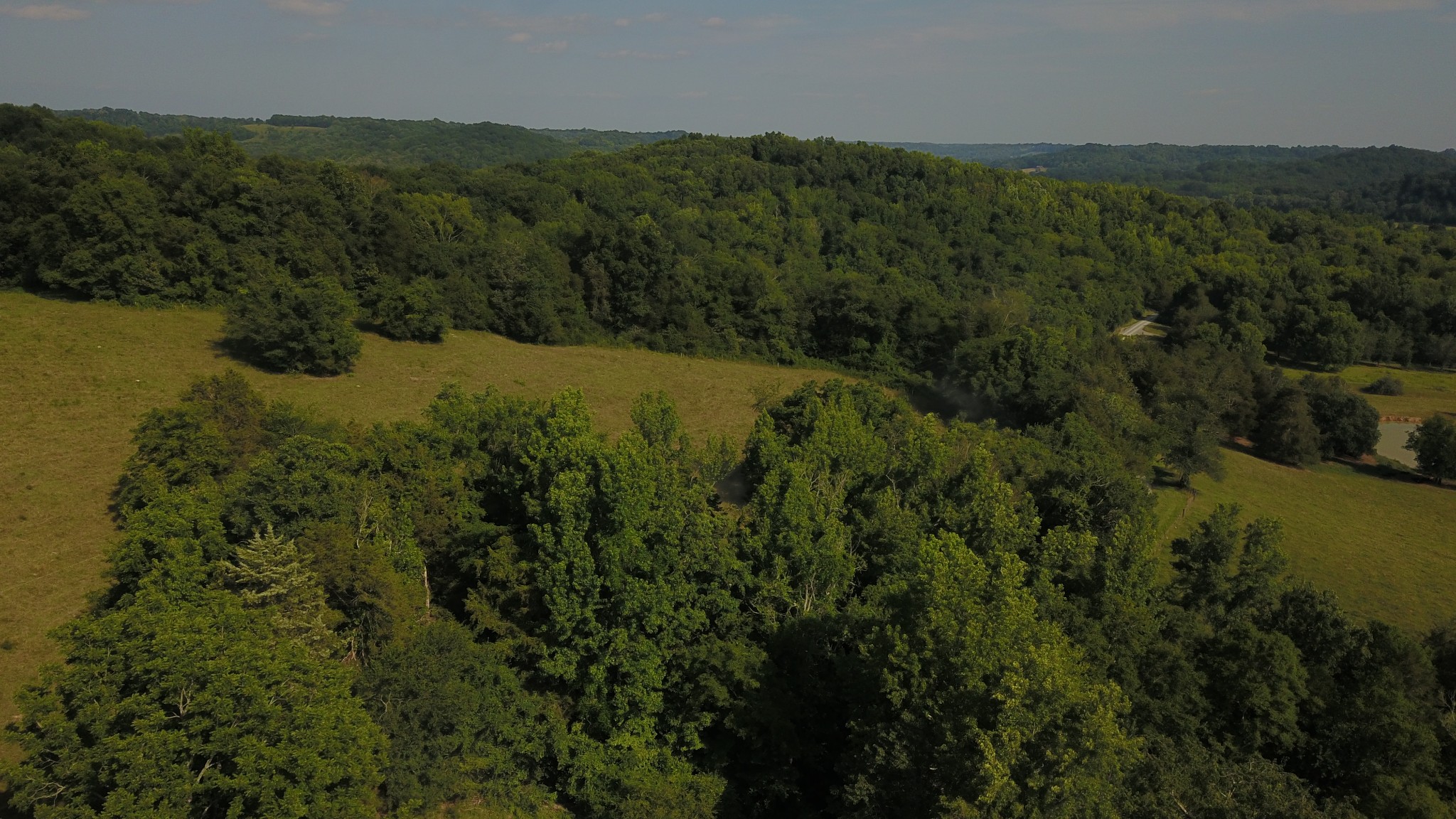 Photo 14 of 20 of 0 J D Suggs Rd land