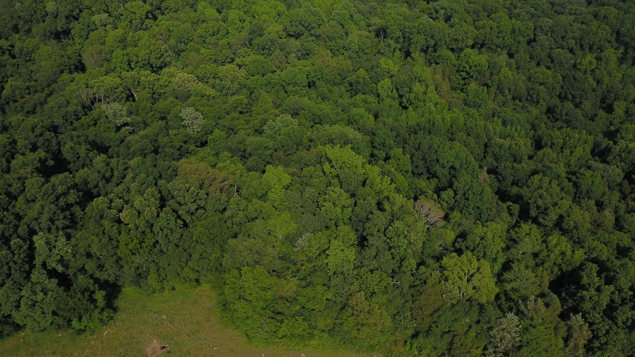 Photo 5 of 20 of 0 J D Suggs Rd land