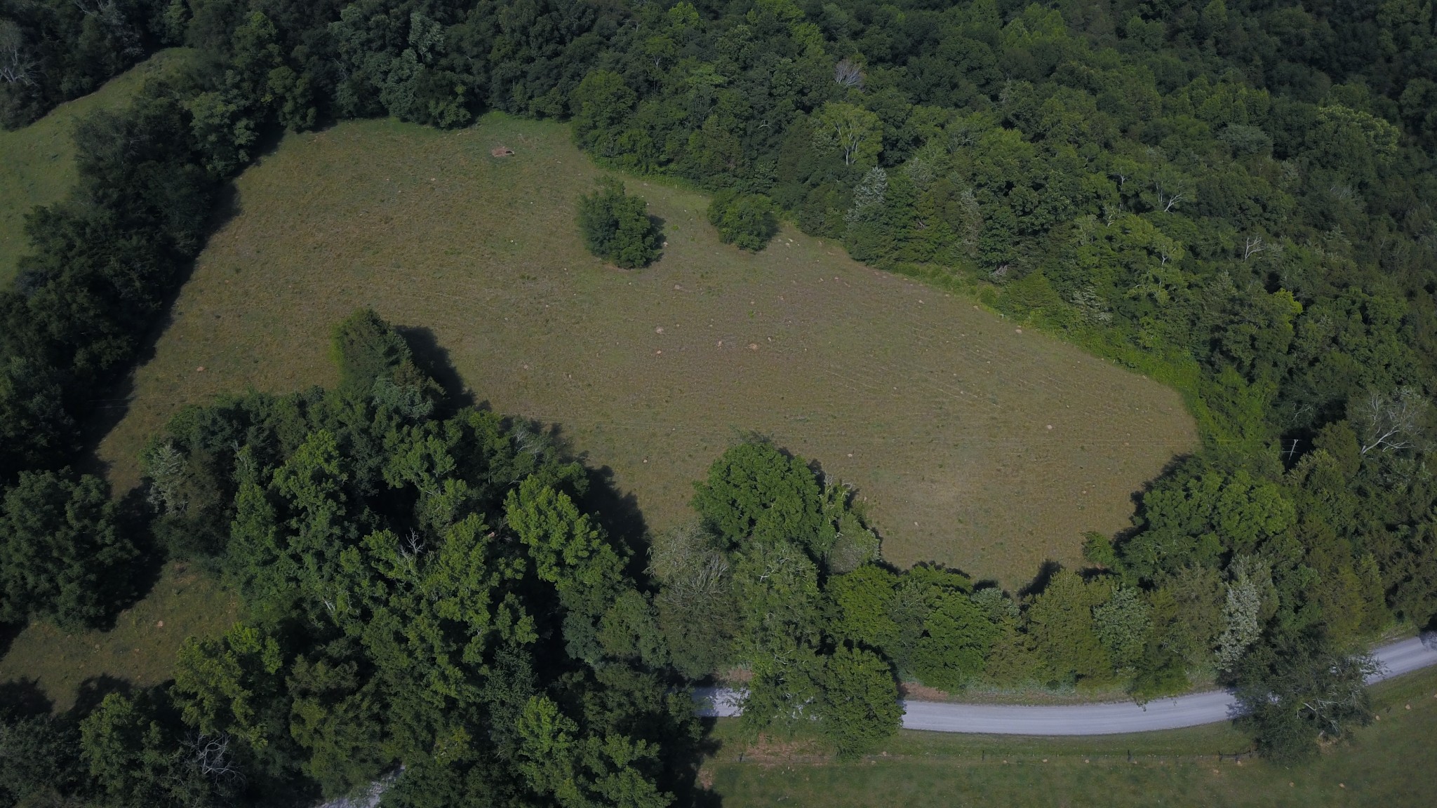 Photo 16 of 20 of 0 J D Suggs Rd land