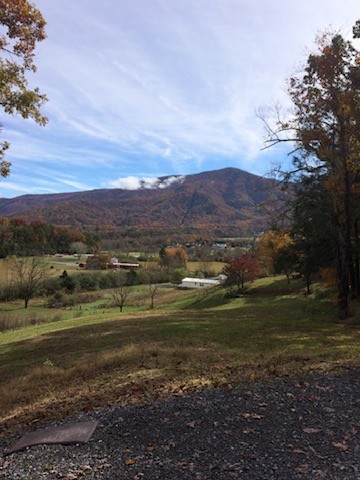 3702 Wears Valley Rd