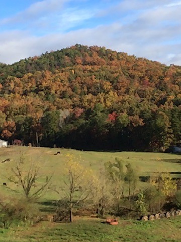 3702 Wears Valley Rd