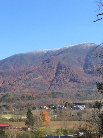 3702 Wears Valley Rd