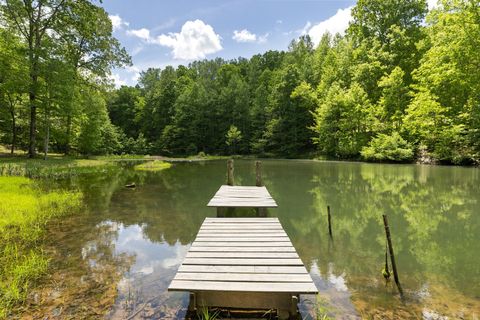 320 Dyestone Springs Road Hohenwald TN 38462