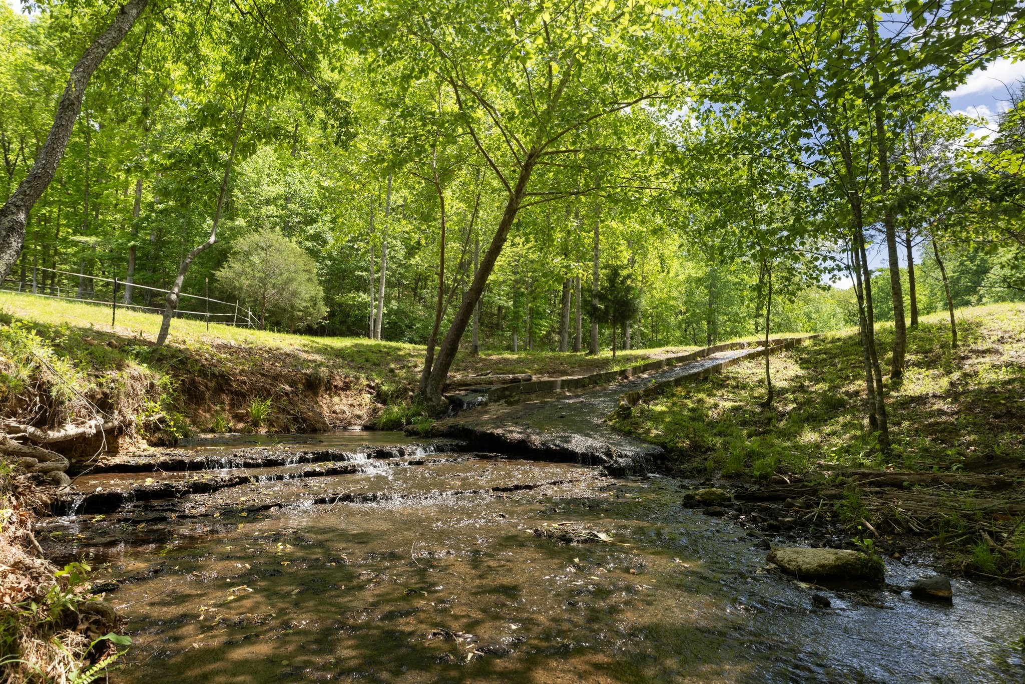 320 Dyestone Springs Road