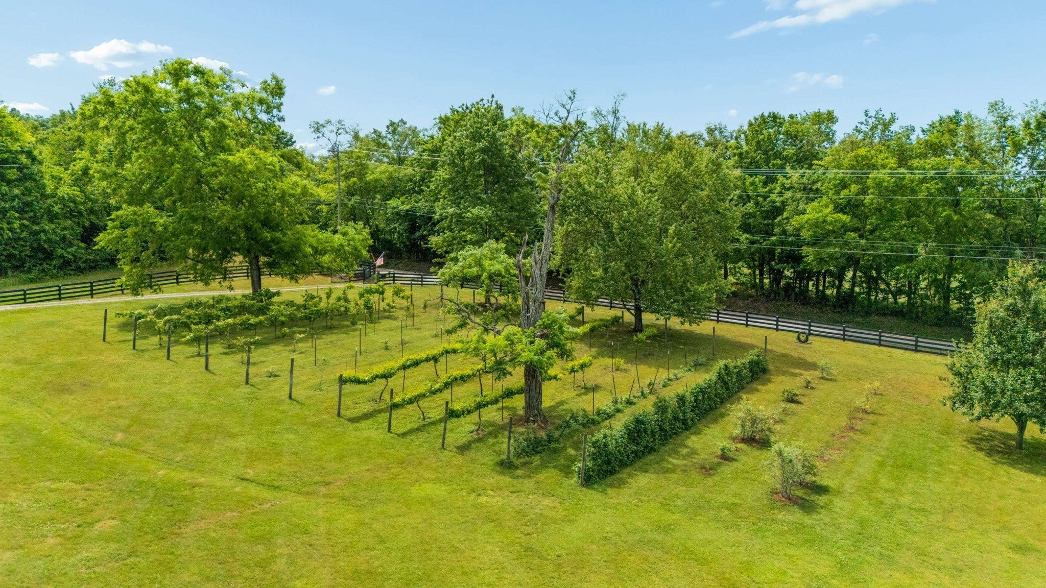 4570 Peytonsville Rd