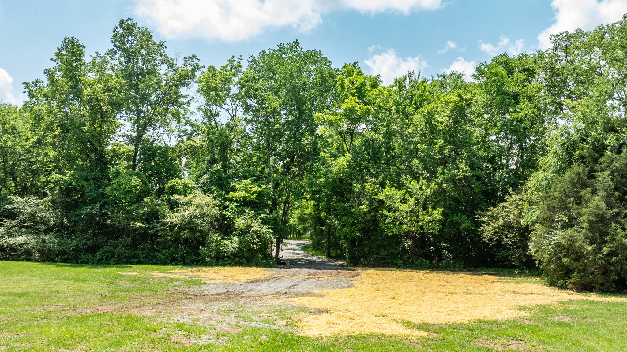 1659 Guy Ferrell Road