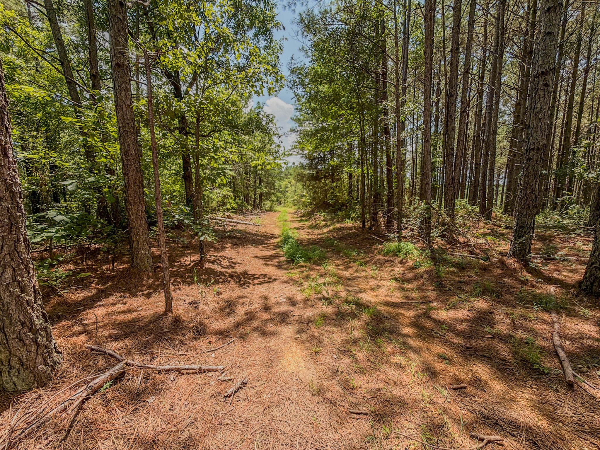 0 Big Opossum Creek Rd