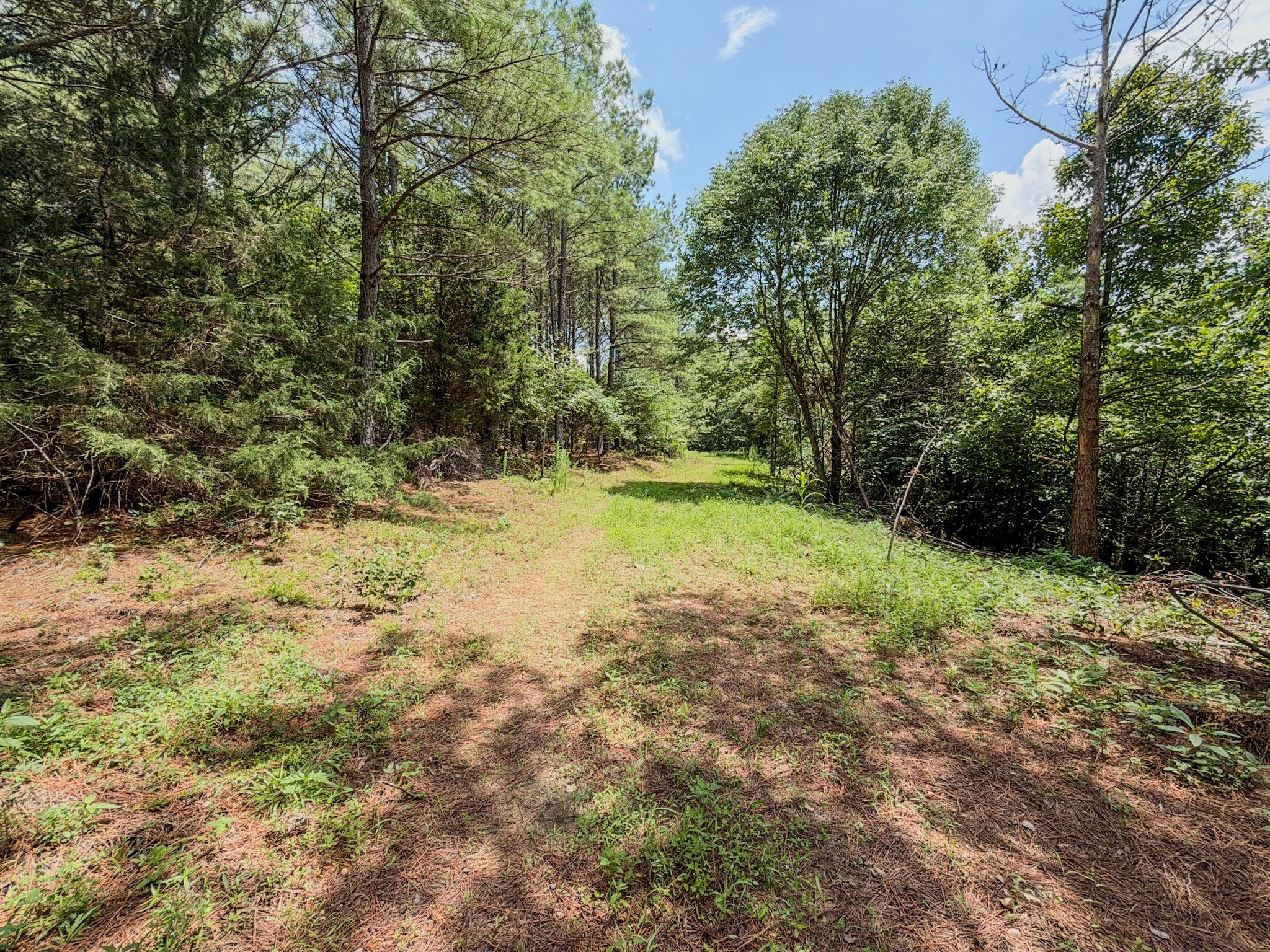 0 Big Opossum Creek Rd