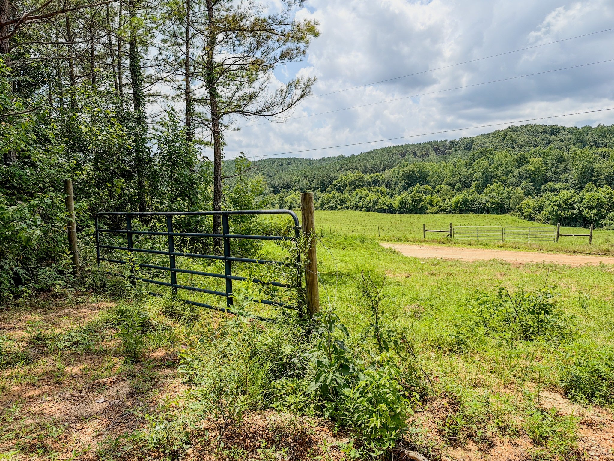 0 Big Opossum Creek Rd