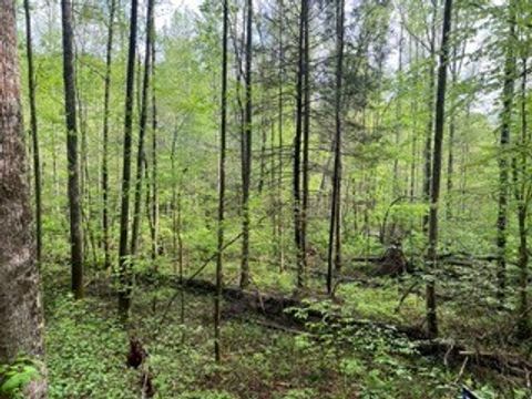 102 Bear Den Trl Grandview TN 37337