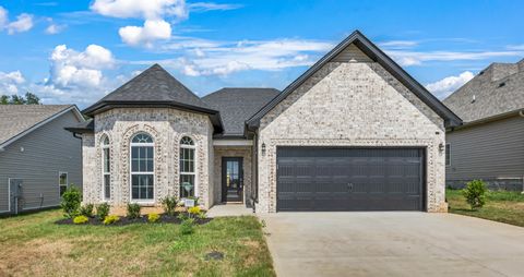 568 Ayden Ln Clarksville TN 37042