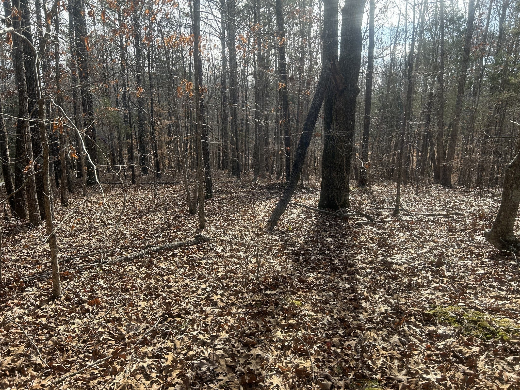 0 Mt Carmel Rd