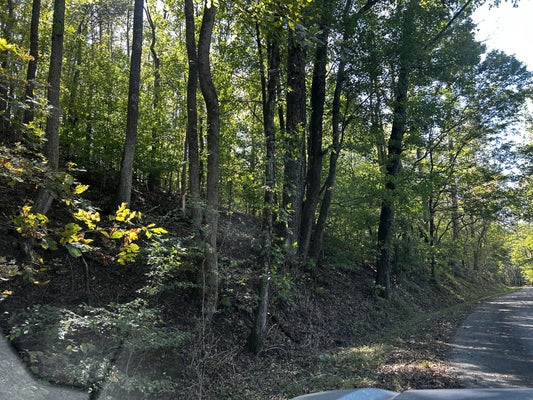 40 ROBERTS ROAD, PROSPECT, TN 38477 - Image 3eeffb5e1c662fb71613bf3ec9db762a/4025490376